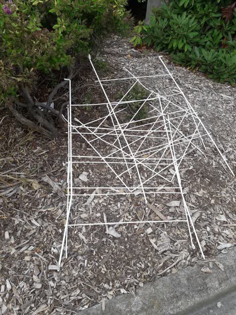 Rubbish/Recycling, a report photo