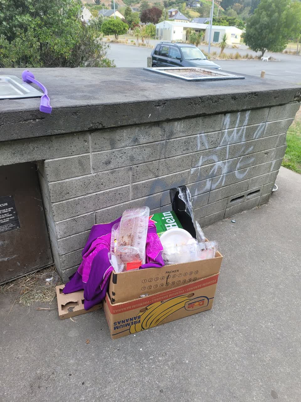 The photograph attached to this rubbish/recycling report