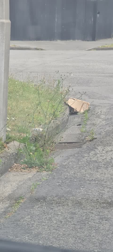 Roading/Streets, a report photo