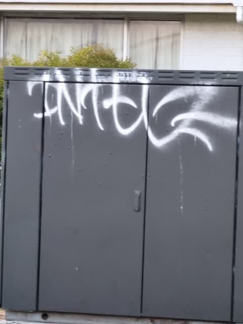 Graffiti, a report photo