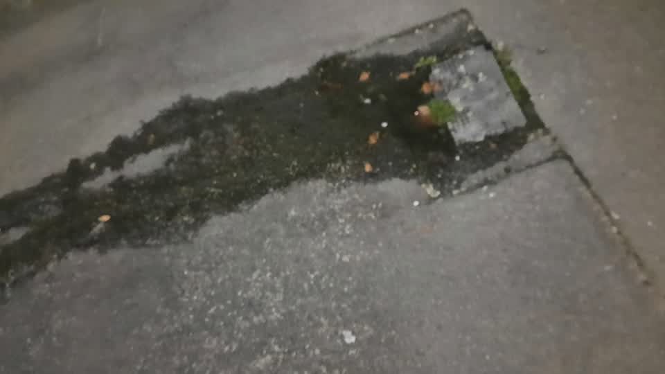 The photograph attached to this water leak report