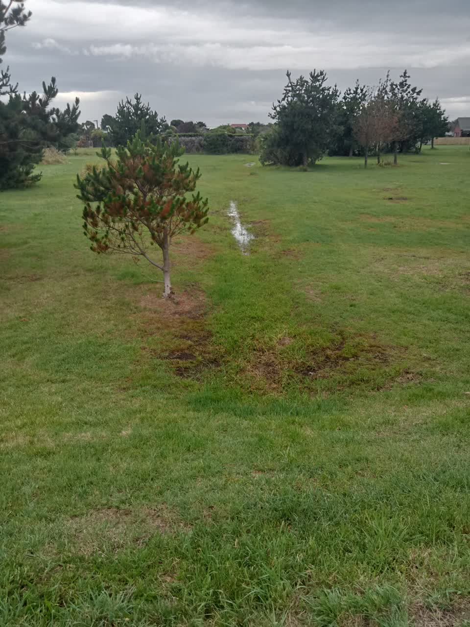 The photograph attached to this parks report