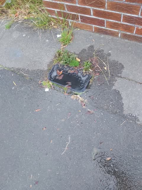 Water Leak — a report photo