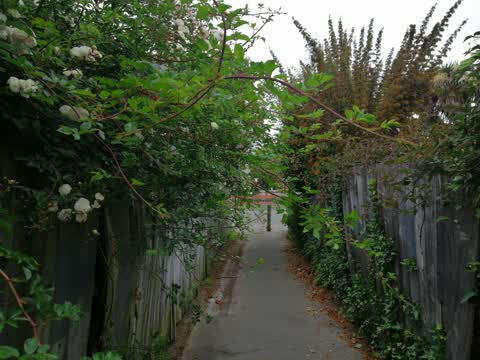 Roading/Streets, a report photo