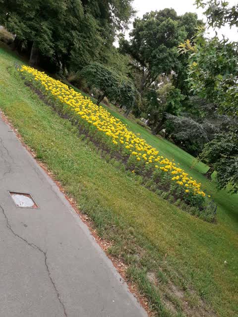 Parks, a report photo