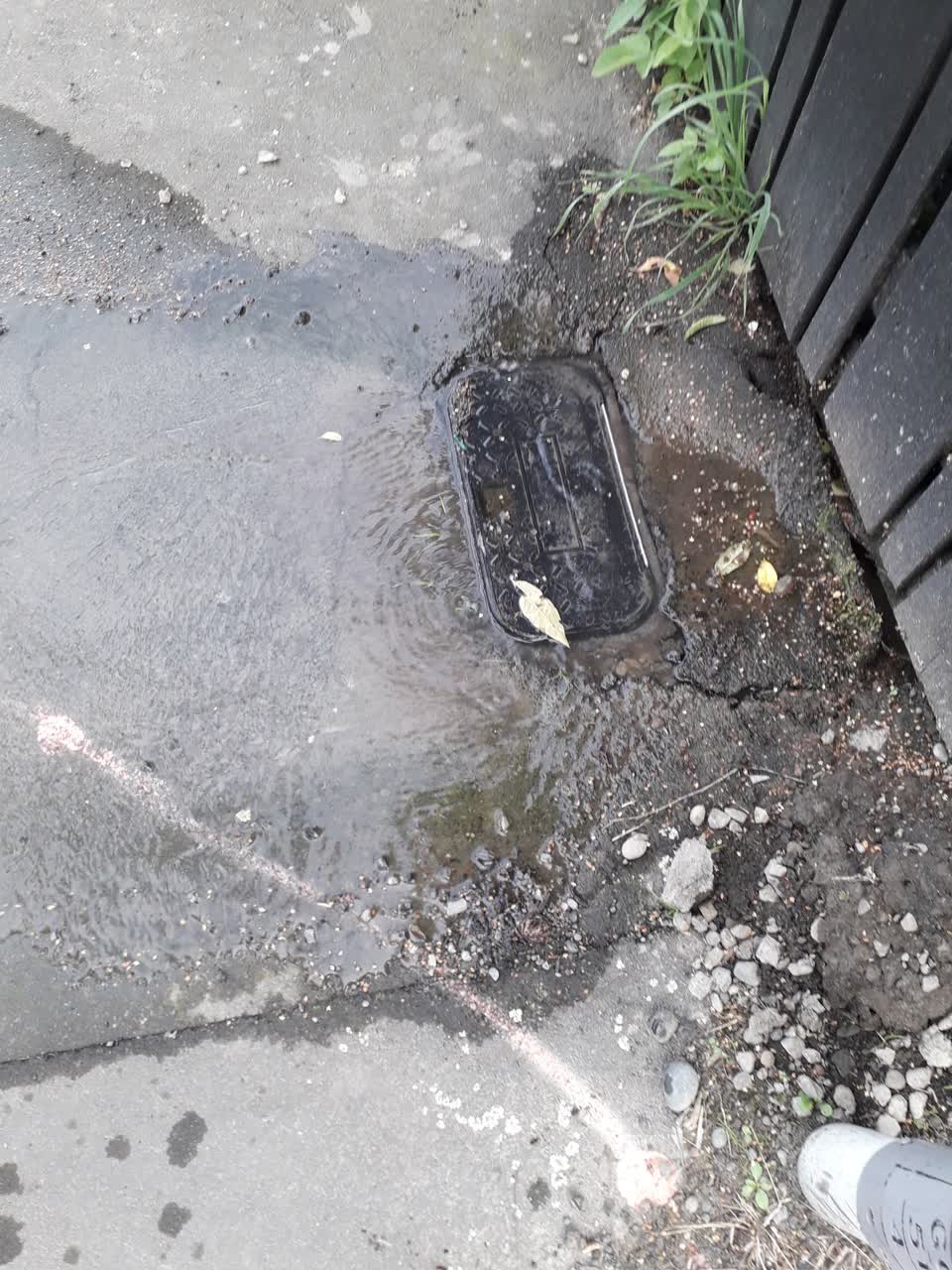 The photograph attached to this water leak report