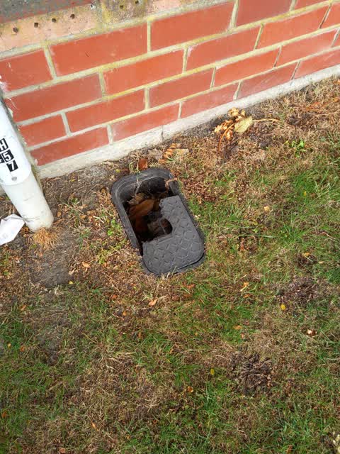 Water Supply, a report photo