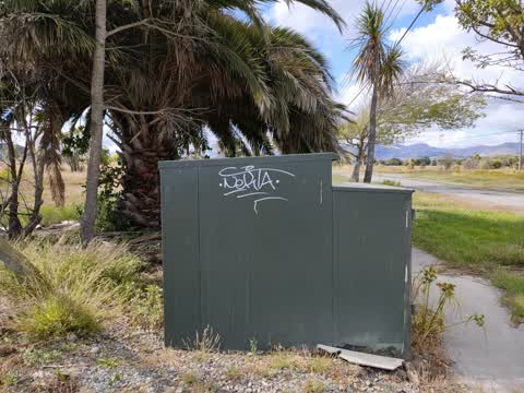 Graffiti, a report photo