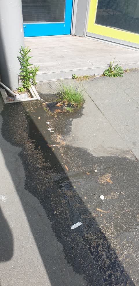 Water Leak, a report photo