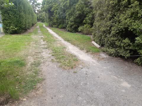 Parks, a report photo