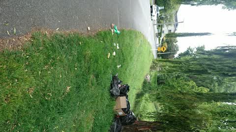 Rubbish/Recycling, a report photo