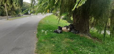 Rubbish/Recycling, a report photo