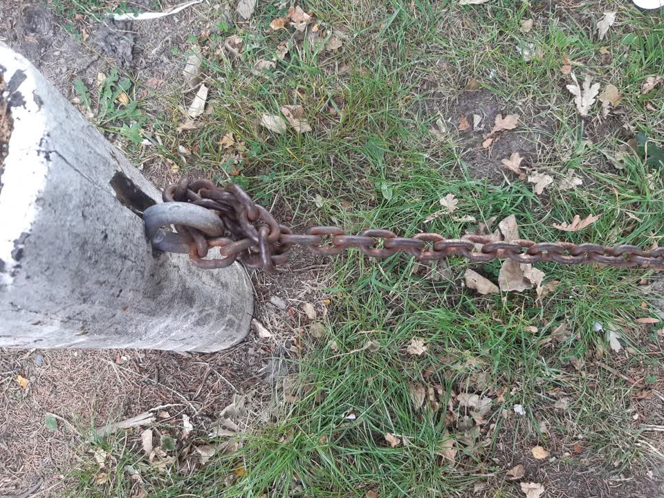 The photograph attached to this parks report