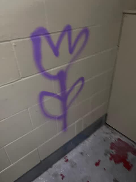 Graffiti — a report photo