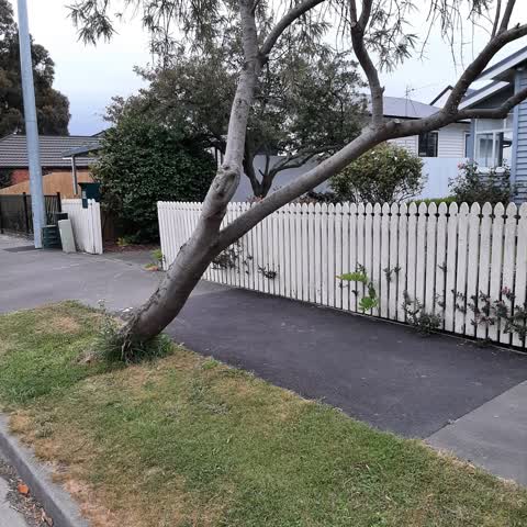 Roading/Streets, a report photo