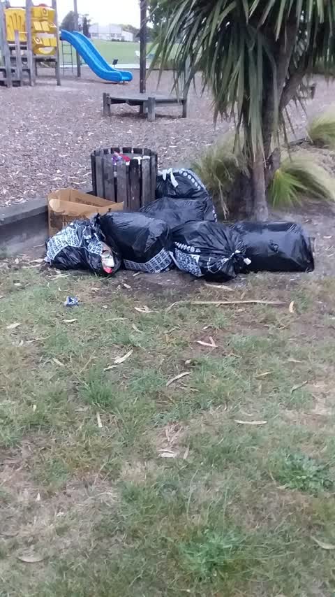 Rubbish/Recycling, a report photo