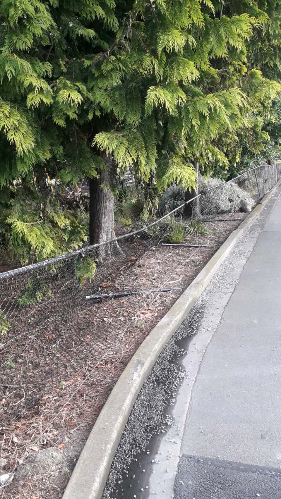 The photograph attached to this parks report