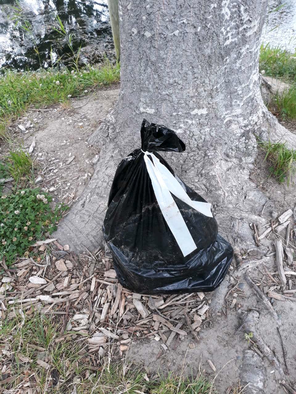The photograph attached to this parks report