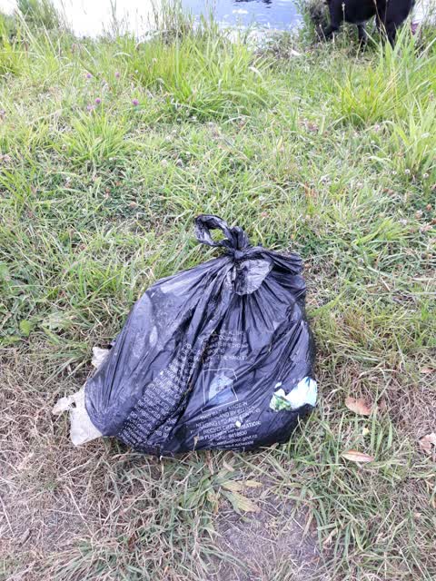 Parks, a report photo