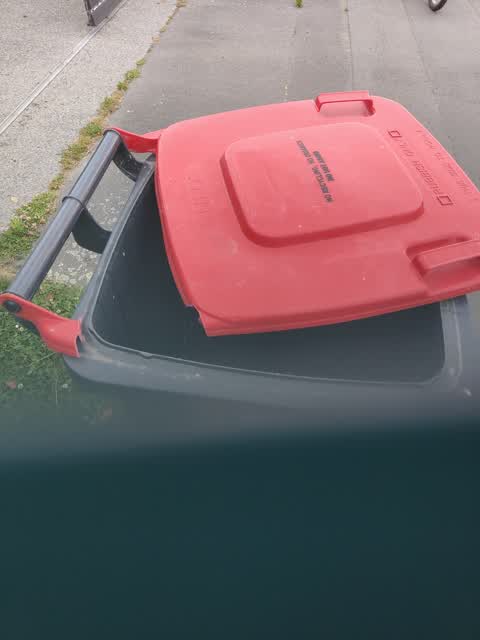 Rubbish/Recycling — a report photo