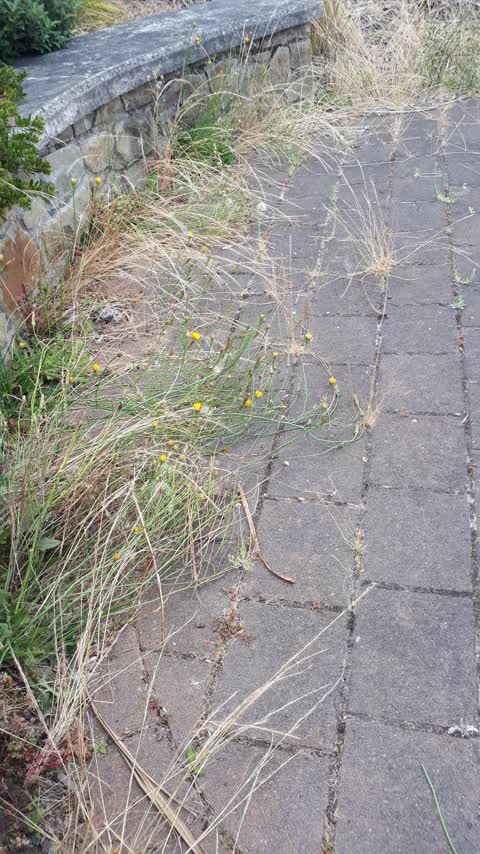 Roading/Streets, a report photo