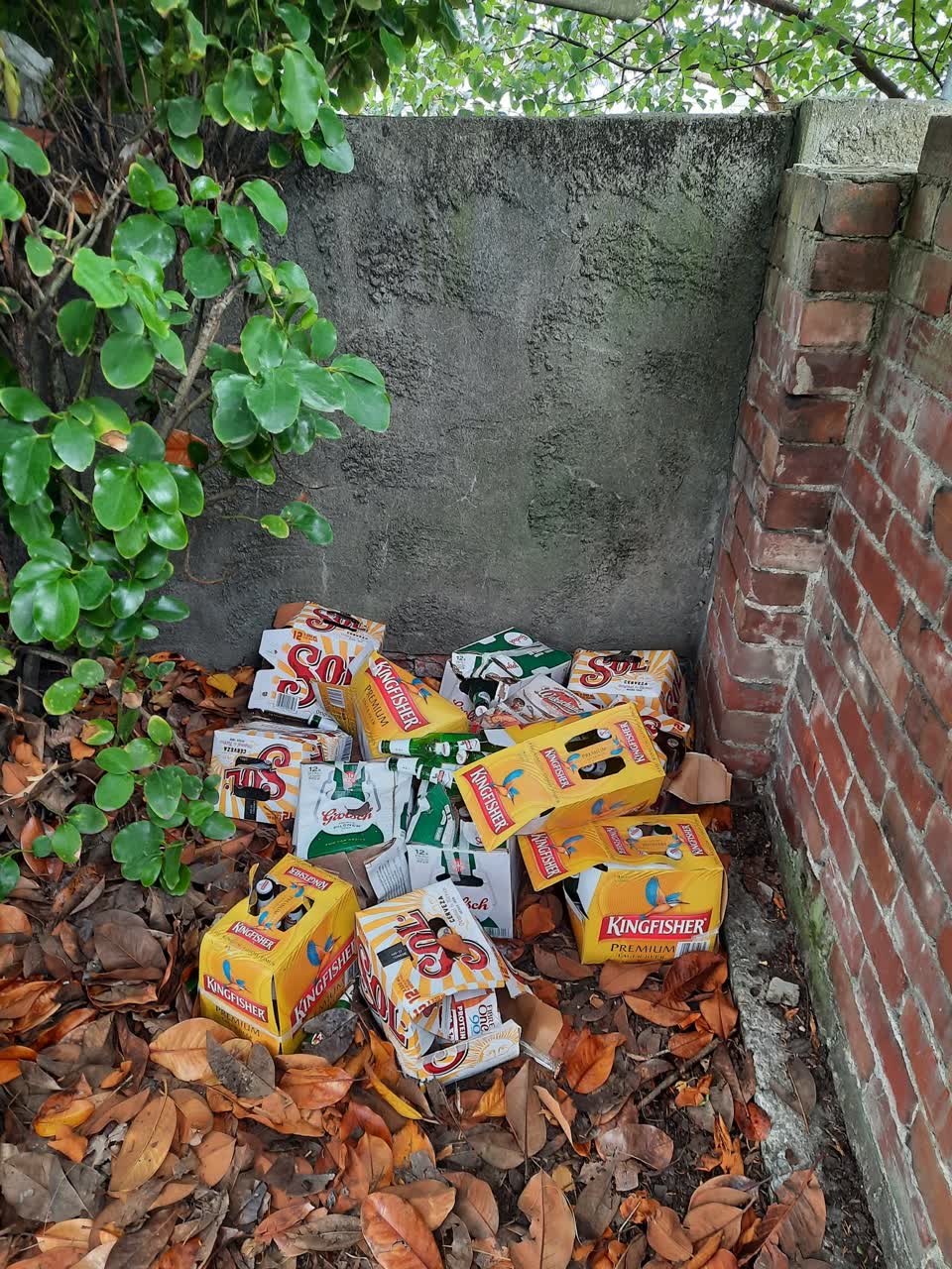 The photograph attached to this rubbish/recycling report
