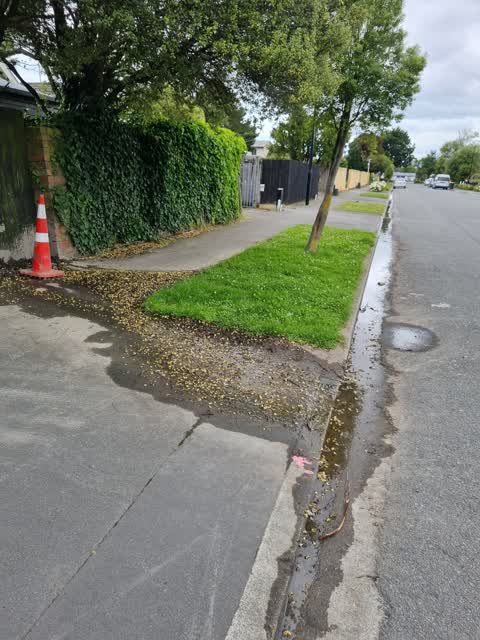 Water Leak, a report photo