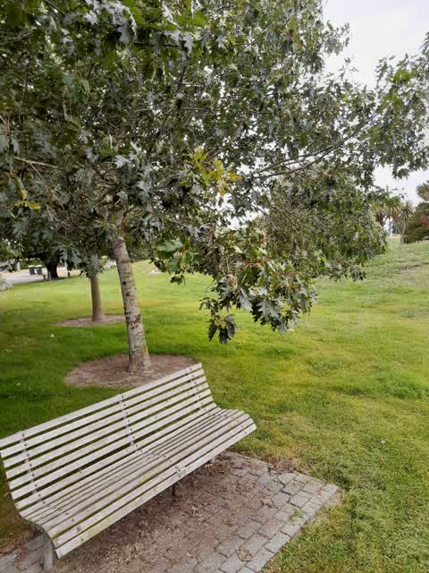 Parks, a report photo