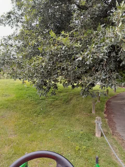 Parks, a report photo