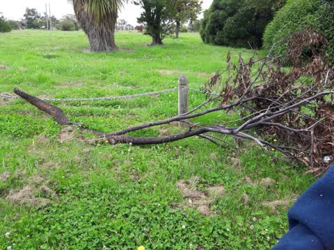 Parks, a report photo