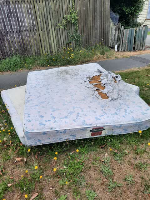 Rubbish/Recycling, a report photo
