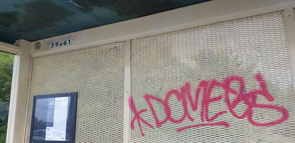 The photograph attached to this graffiti report