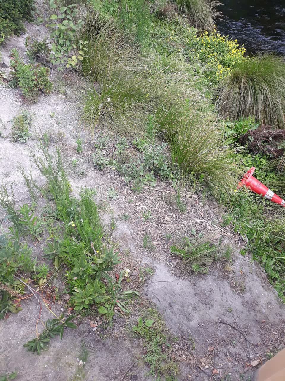 The photograph attached to this parks report