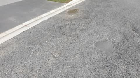 Roading/Streets, a report photo