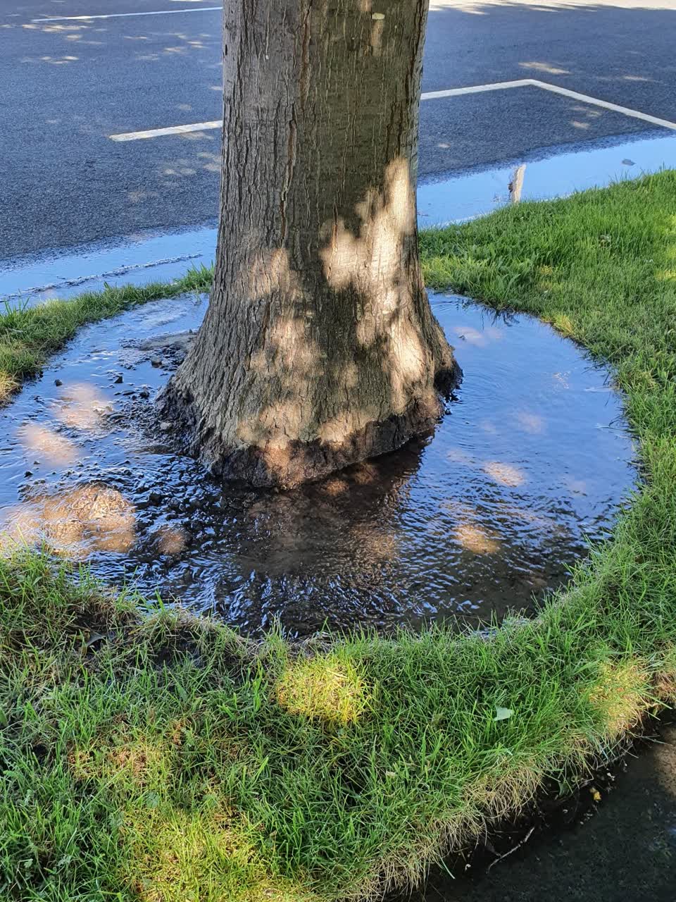 The photograph attached to this water leak report