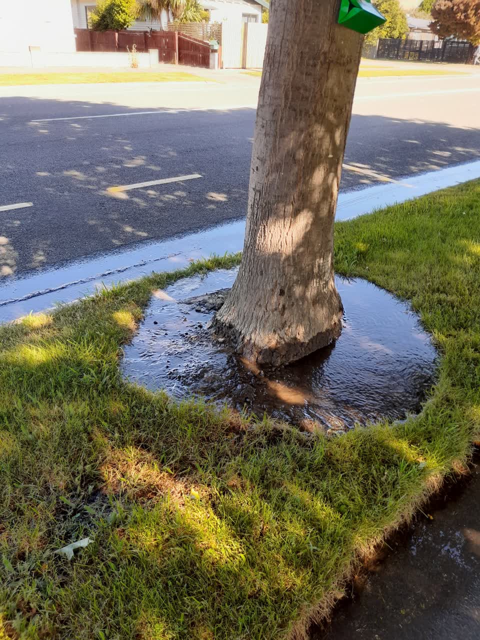 The photograph attached to this water leak report