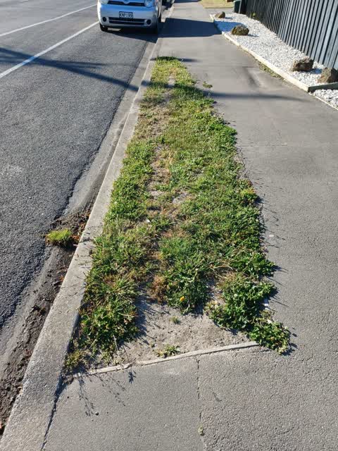 Roading/Streets, a report photo