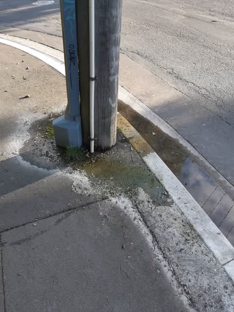 Water Leak, a report photo