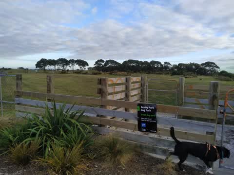 Parks, a report photo