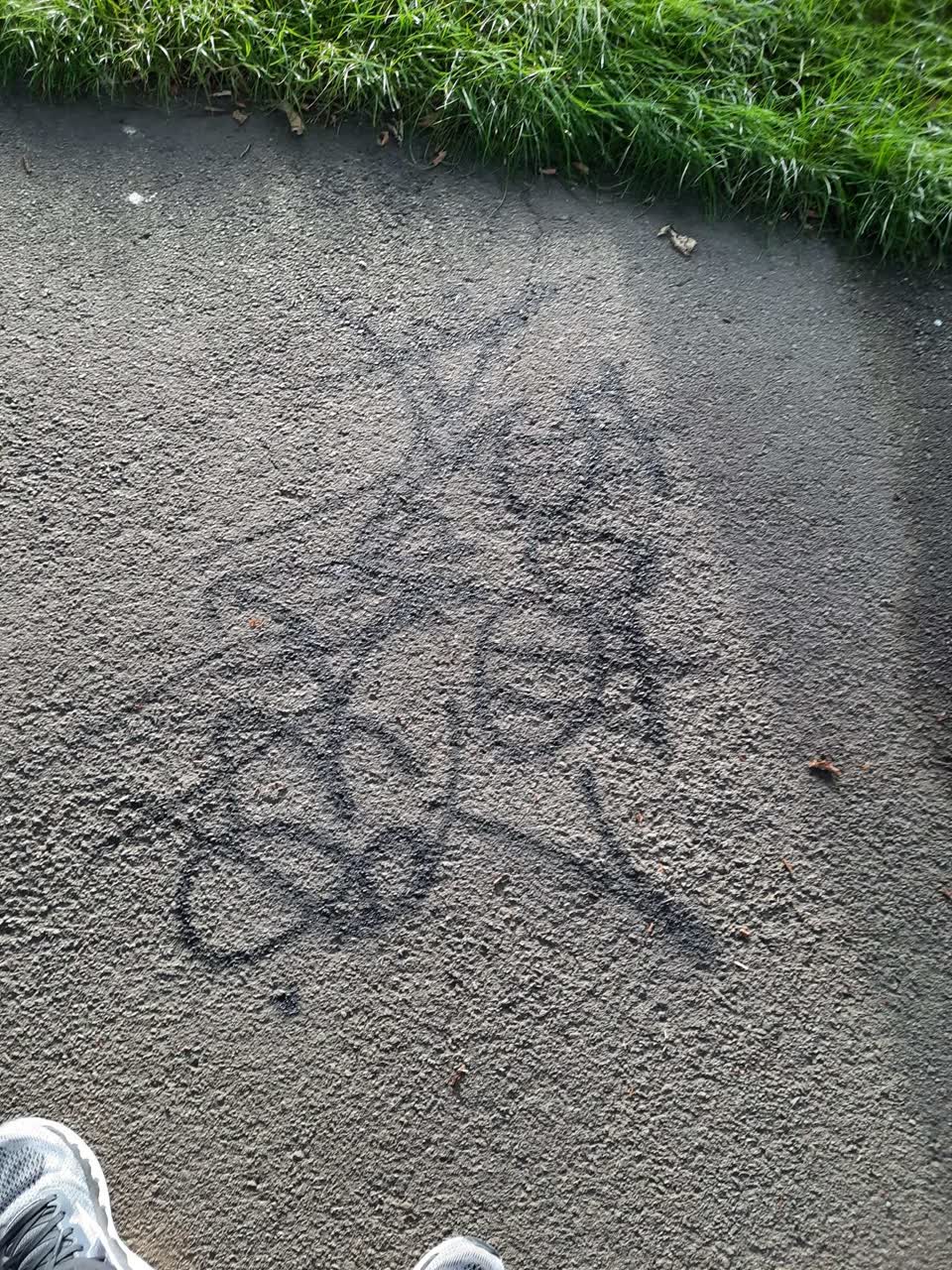 The photograph attached to this parks report