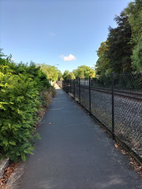 Roading/Streets, a report photo