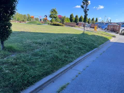 Parks — a report photo