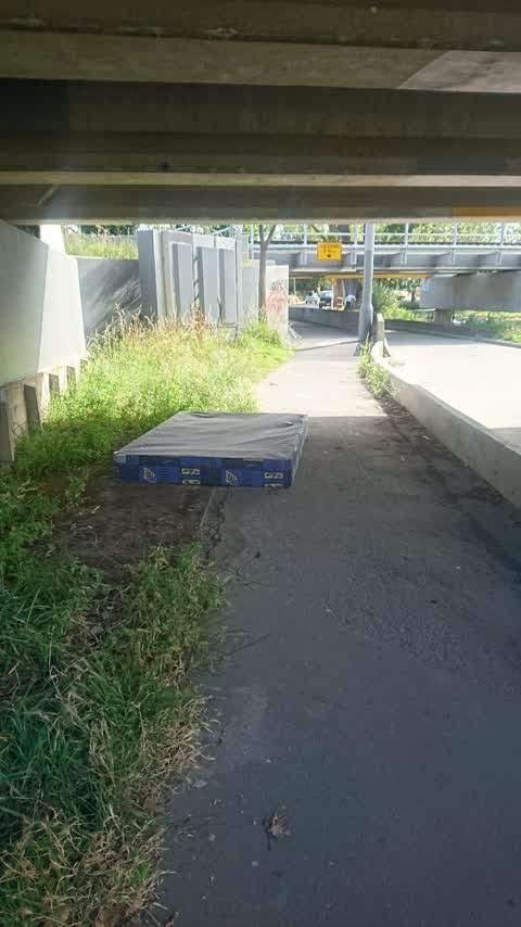 Rubbish/Recycling, a report photo