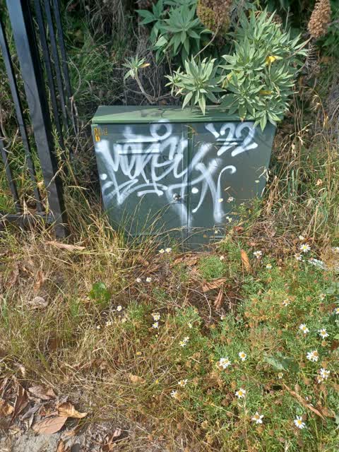 Graffiti — a report photo