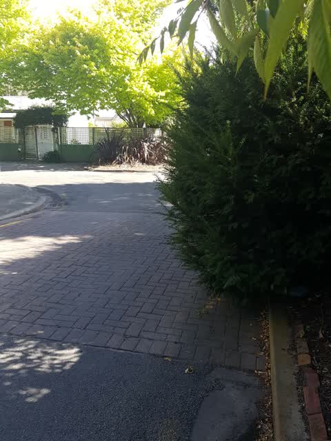 Roading/Streets, a report photo
