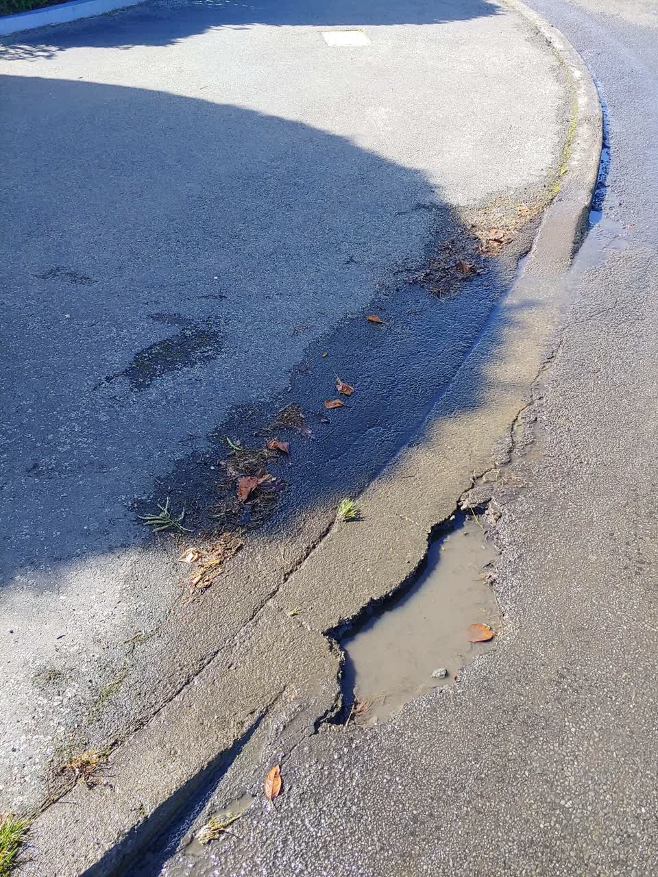 The photograph attached to this water leak report