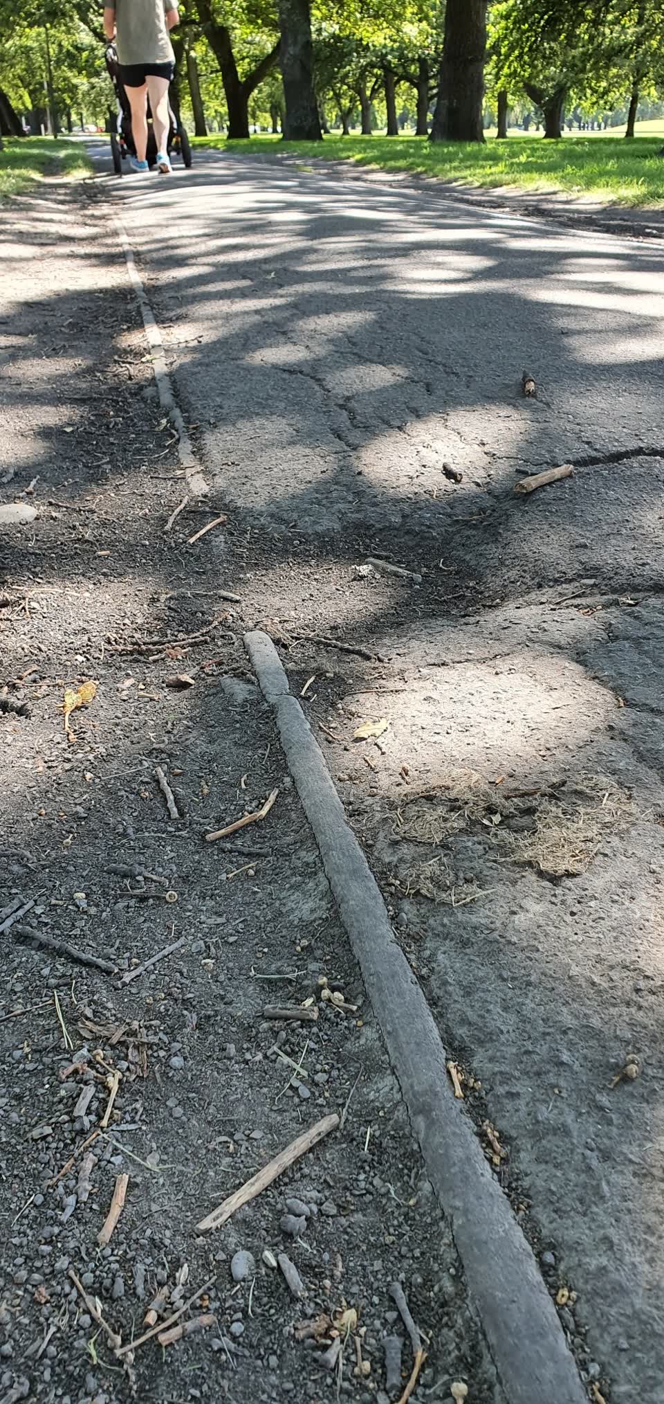 The photograph attached to this parks report