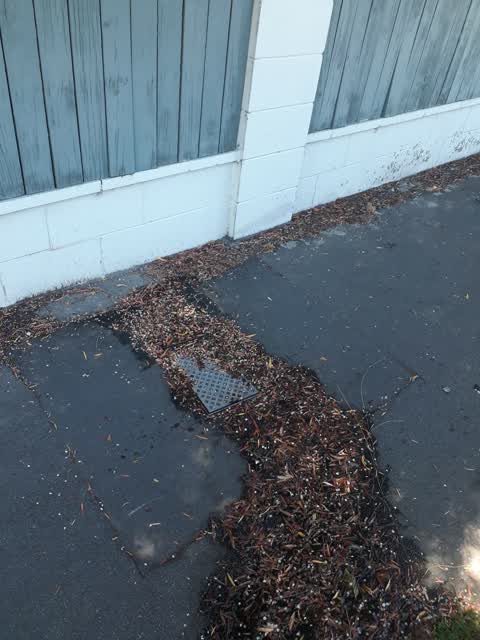 Water Leak, a report photo