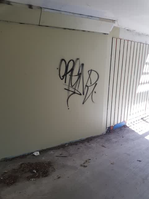Graffiti — a report photo