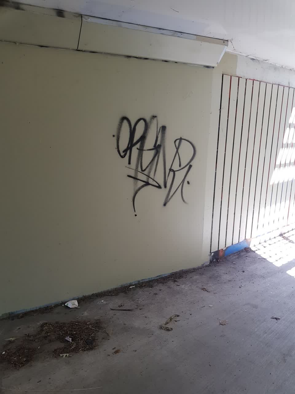 The photograph attached to this graffiti report